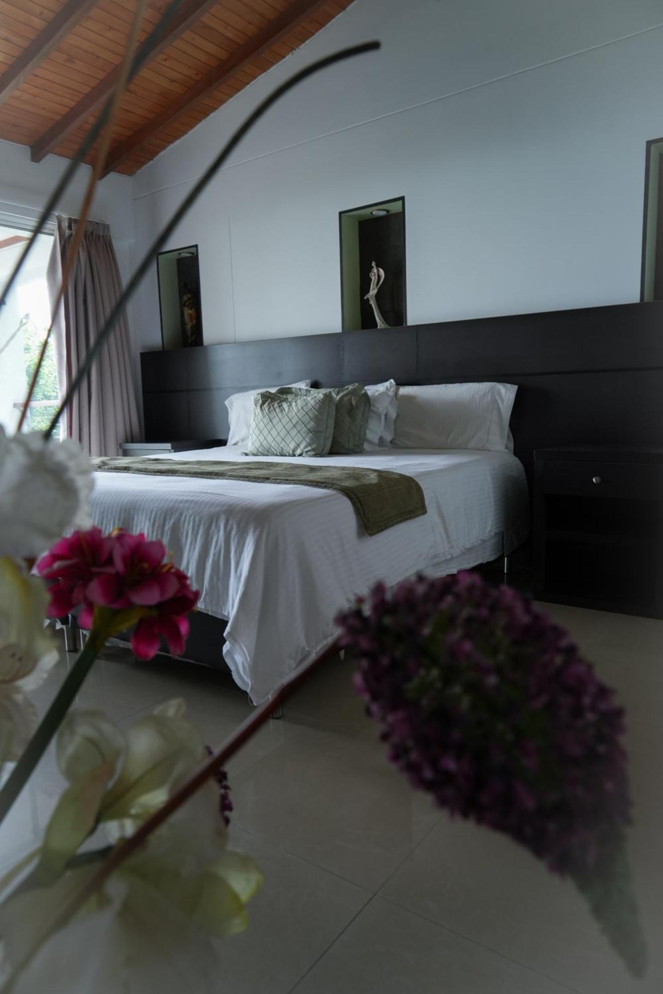 Serenity Suites Casa Boutique 布卡拉曼加 外观 照片